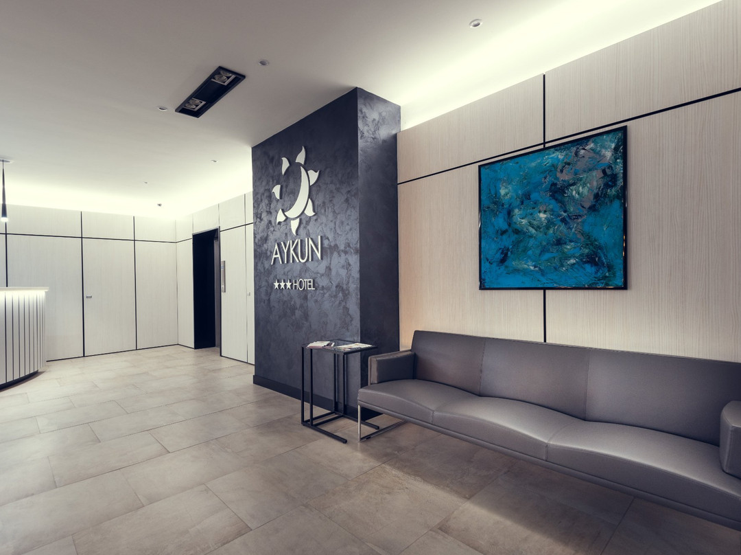Hotel Aykun主图
