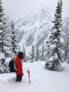 Great Northern Snowcat Skiing景点图片