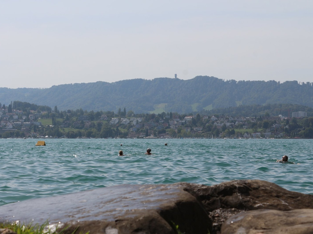 Strandbad Tiefenbrunnen景点图片