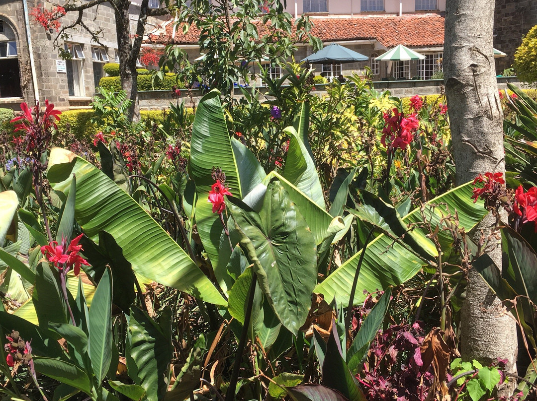 Tea Hotel Kericho主图