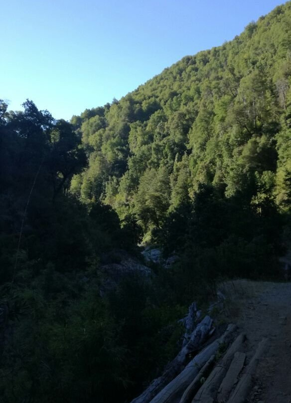 Reserva Natural Los Huemules del Niblinto-Coihueco必去景点