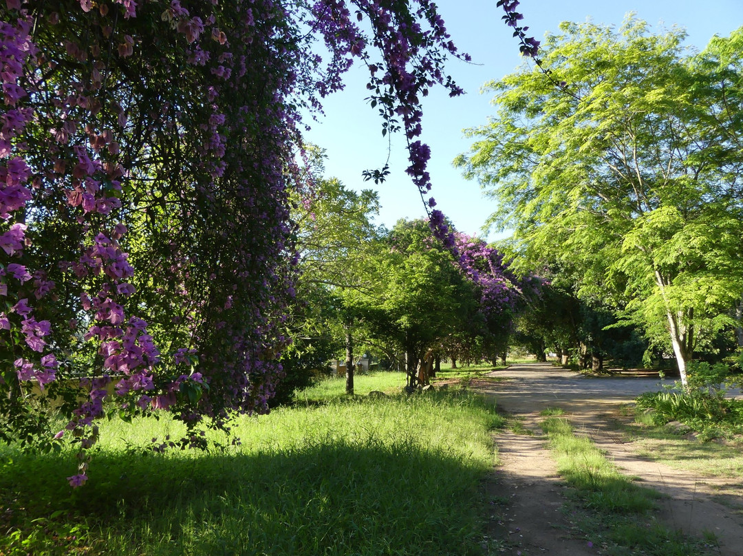 努比花园套房酒店主图
