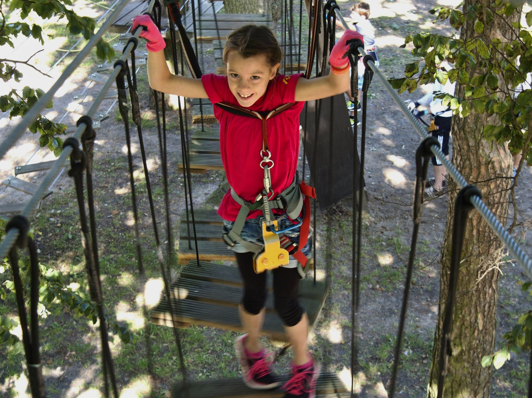 Kletterpark Boltenhagen景点图片