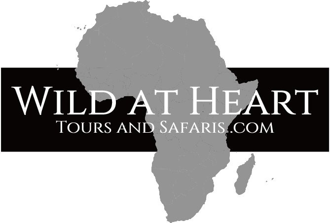 Wild at Heart Tours and Safaris (Pty) ltd.-保罗彼得斯堡必去景点
