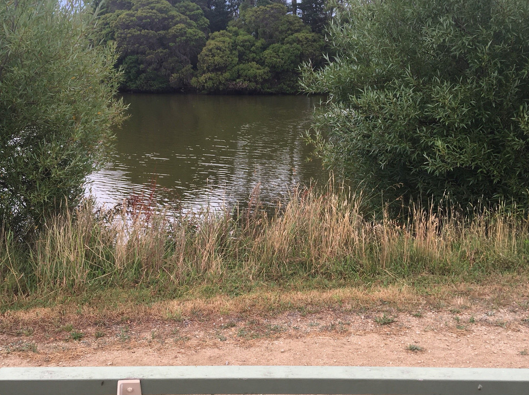 Civic Reserve Recreation Centre景点图片