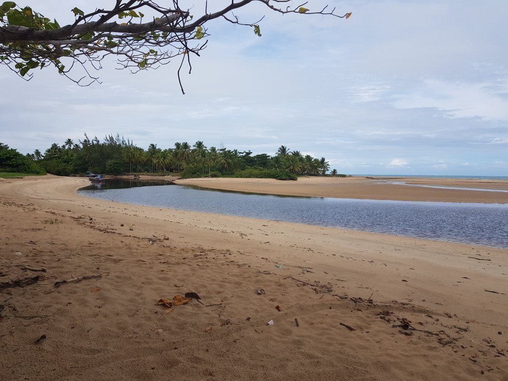 Camacho Beach-Maragogi必去景点