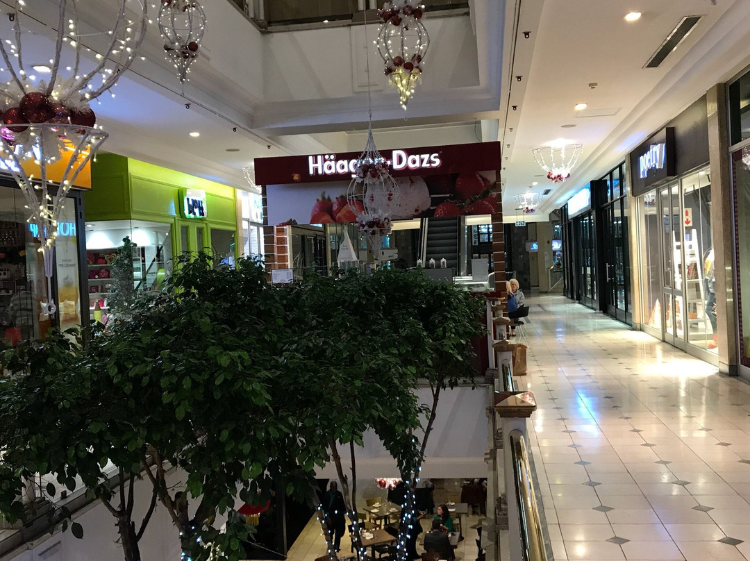 Hyde Park Corner-约翰内斯堡必去景点