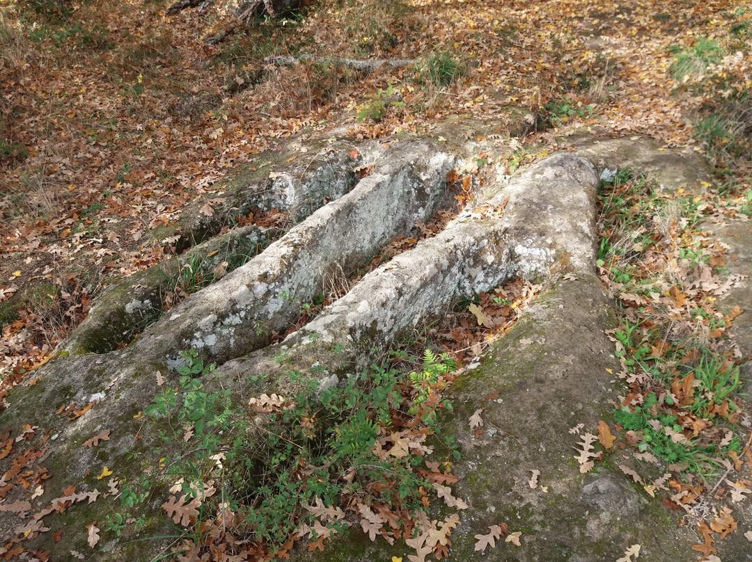monumento naturale Corviano-Soriano nel Cimino必去景点