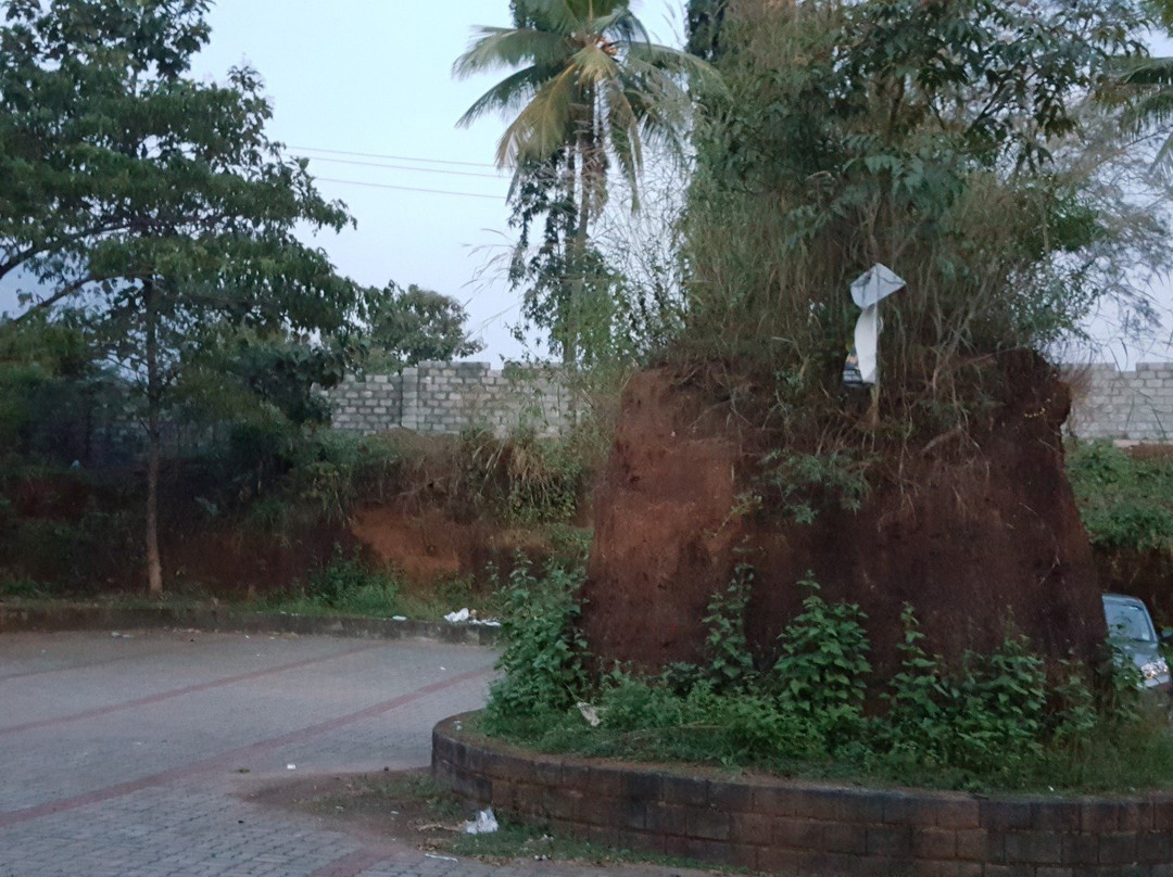 Kanjirapuzha Dam景点图片