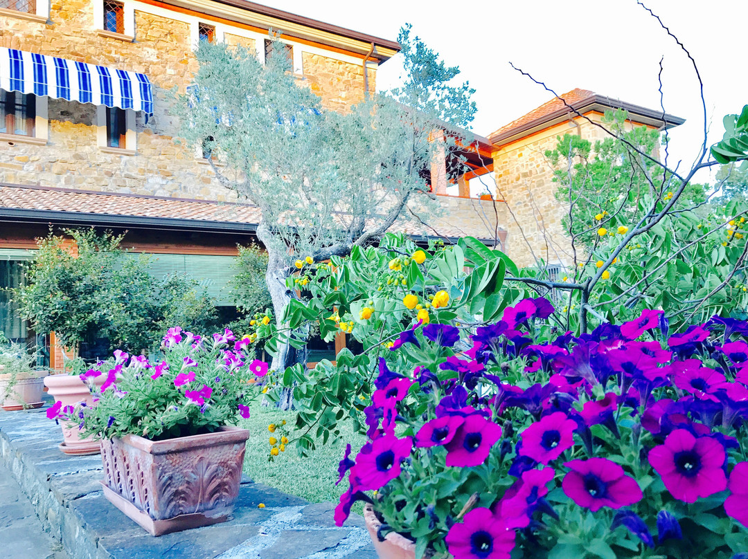 San Marco酒店住宿-Casa Vacanze il Cenito