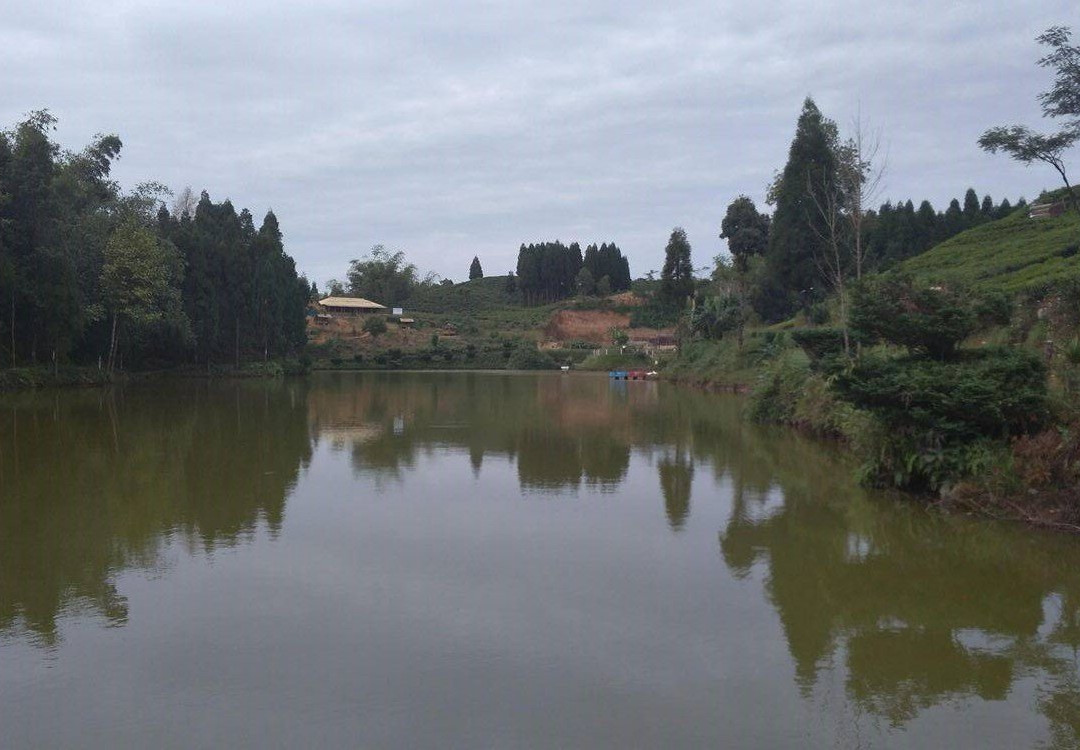 Ilam Tea Garden景点图片