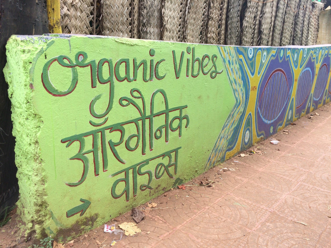Organic Vibes