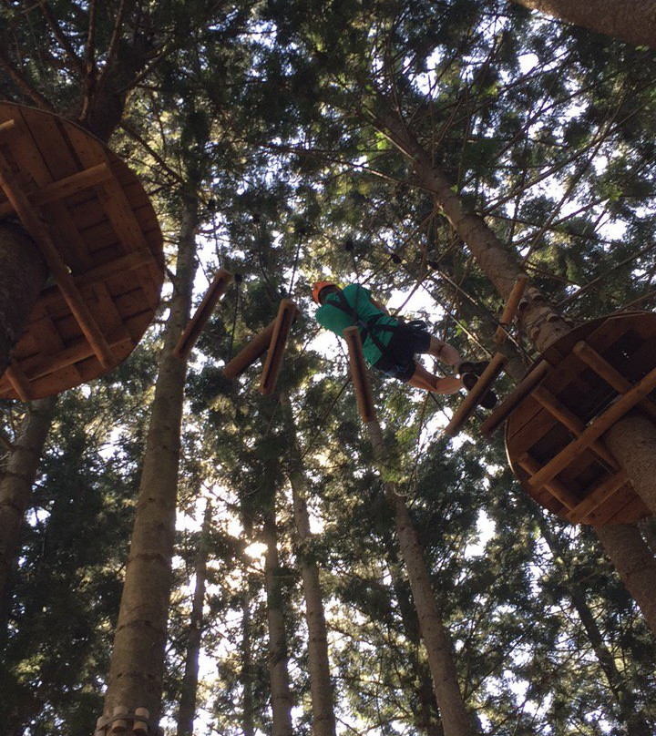 Treetops Adventure The Hills景点图片