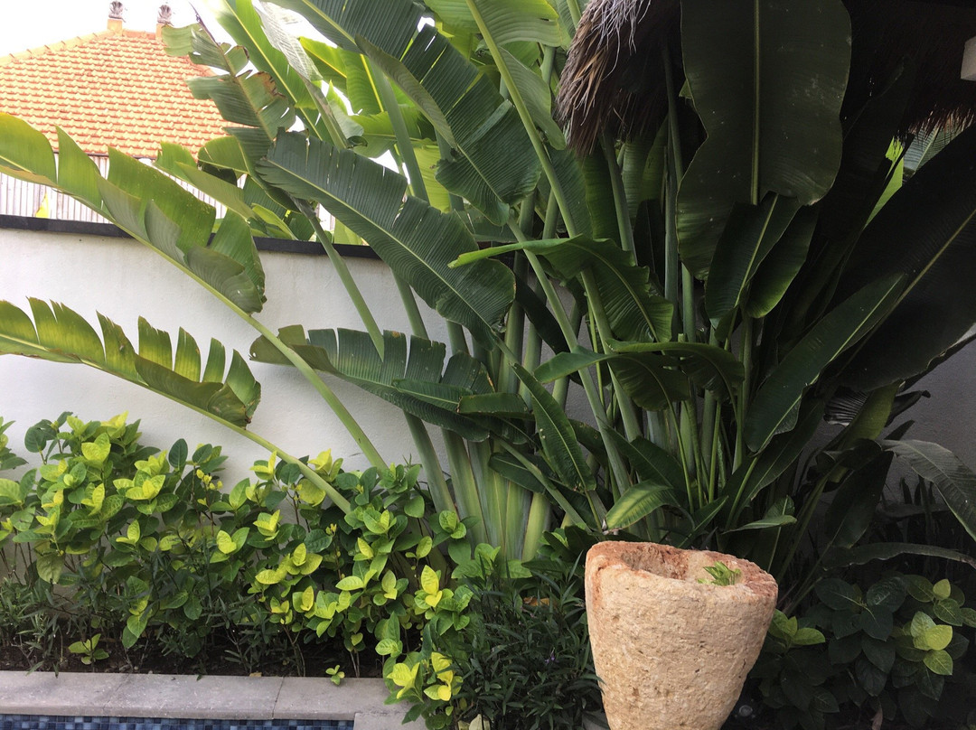 巴厘蓝梦岛沙滩俱乐部别墅度假村主图