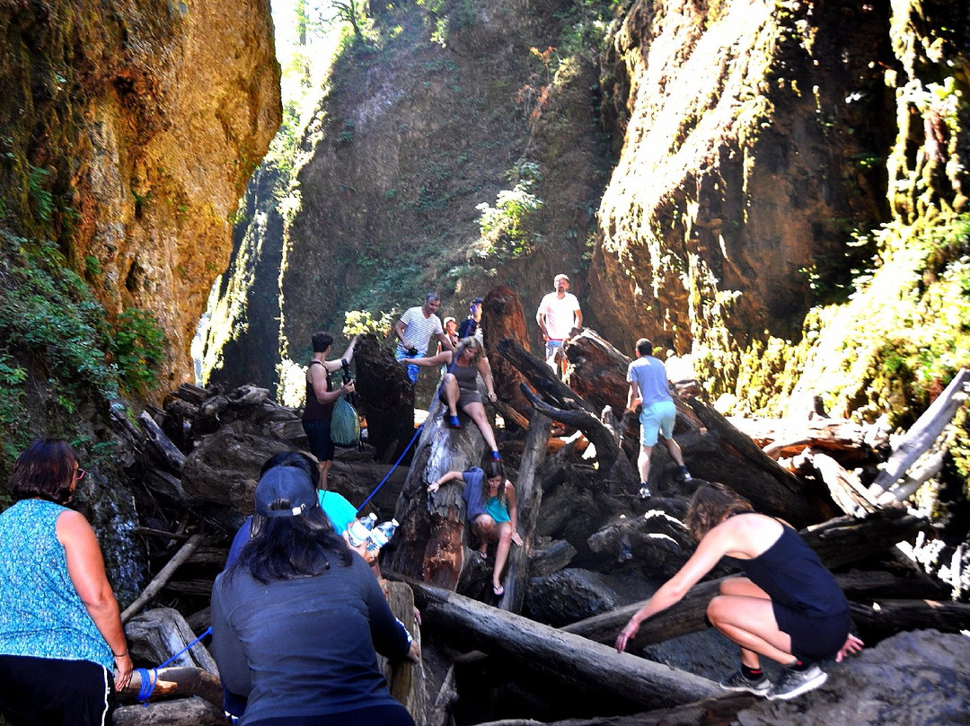 Lower Oneonta Falls-劳特代尔必去景点