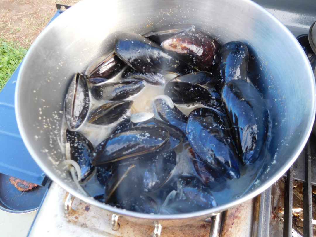 Cedar Dunes Provincial Park-West Point必去景点