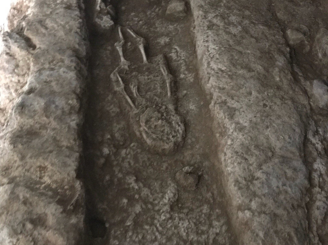Area Archeologica Tombe Ipogeiche - Via Libio 53景点图片