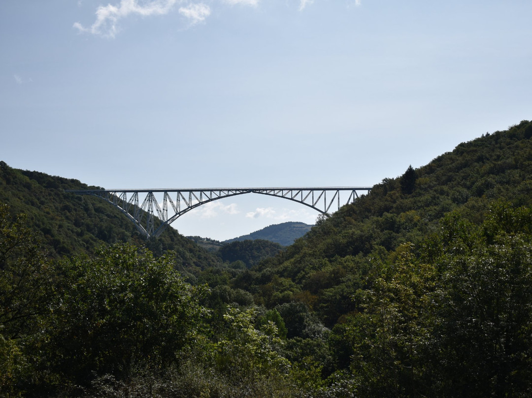 Viaduc du Viaur景点图片