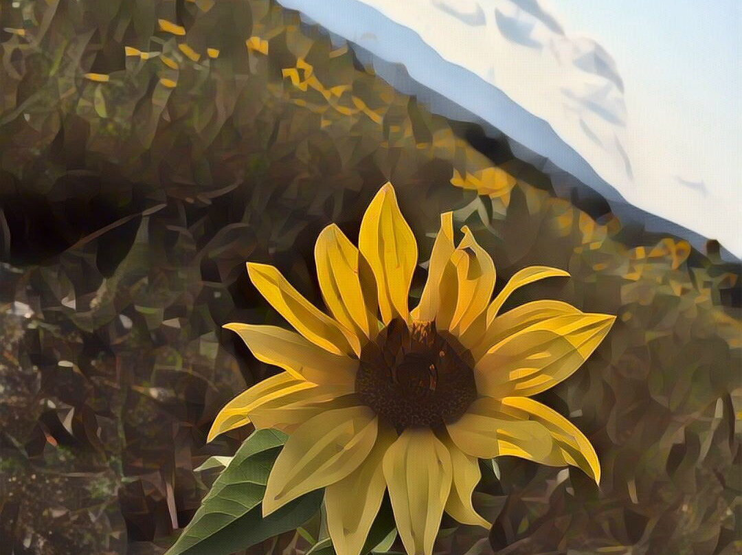 Erabliere Chic Rustique-Orford必去景点