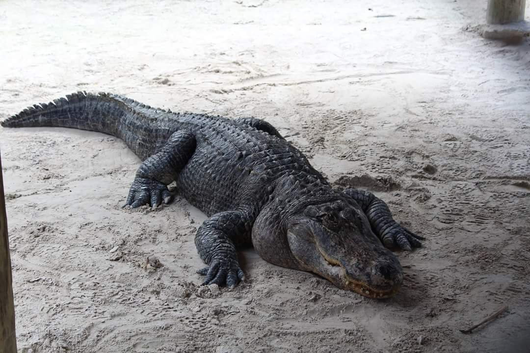 99 Mile Wilderness Waterway-大沼泽国家公园必去景点