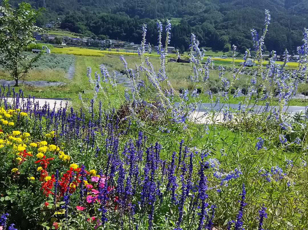 Michi no Eki Ikedamachi Herb Center景点图片