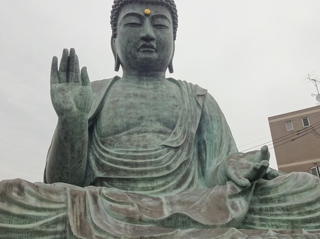 Zensyoji Temple-日野市必去景点