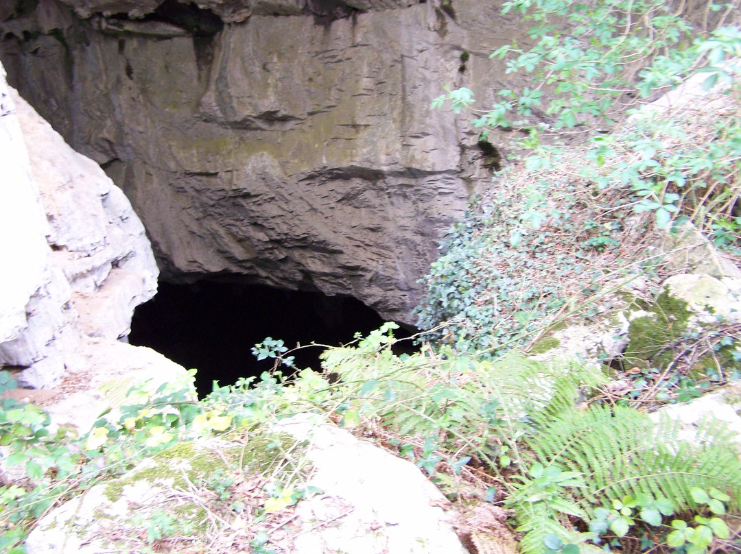 Cueva Huerta景点图片