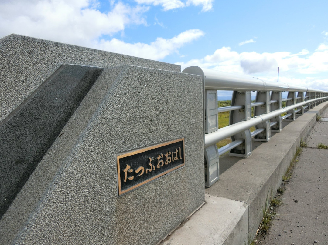 Tappu Great Bridge-新筱津村必去景点