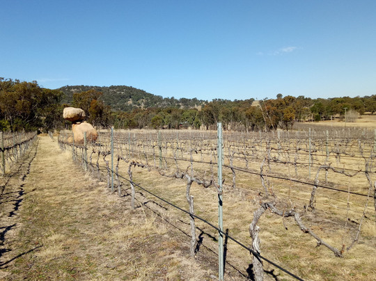 Balancing Heart Vineyard-Wyberba必去景点