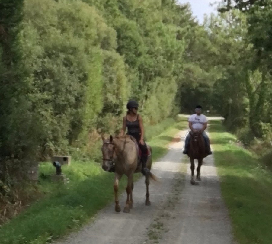 Centre Equestre La Champagne景点图片