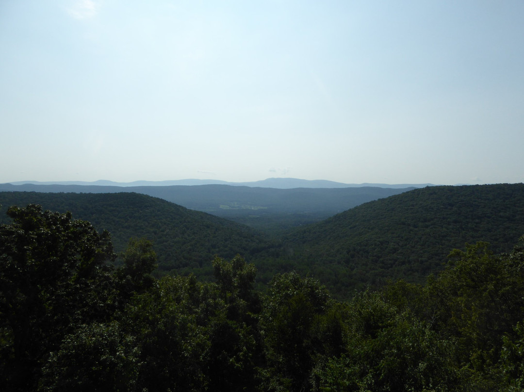 Woodstock Tower Observation Site-Woodstock必去景点