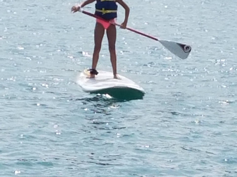 Chicago Water Sport Rentals-芝加哥必去景点