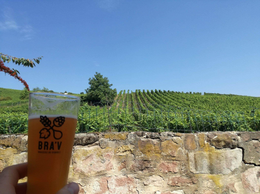 Brasserie du Vignoble-利克威尔必去景点