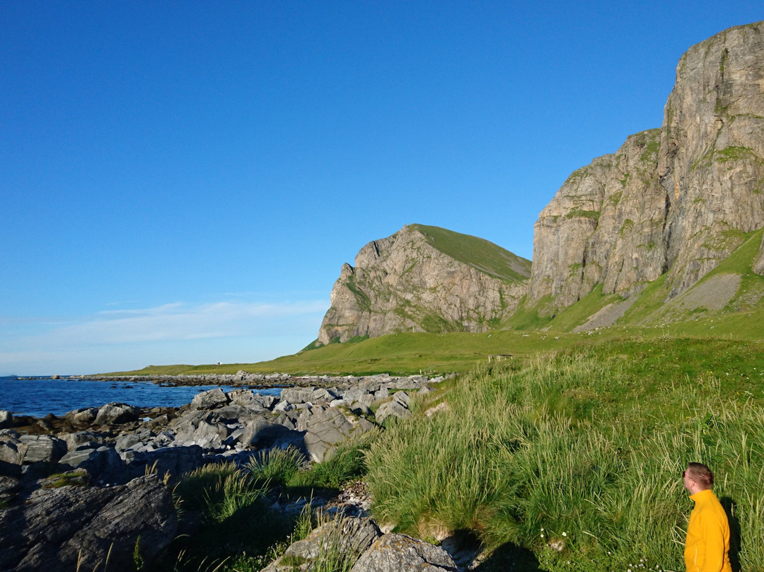 Nordlandshagen på Værøy景点图片
