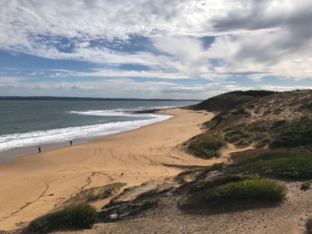 Flynns Beach景点图片