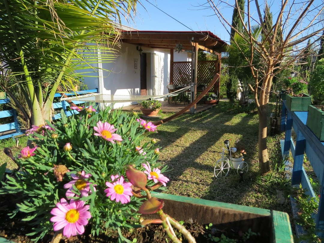 Bella Troun Guest House主图