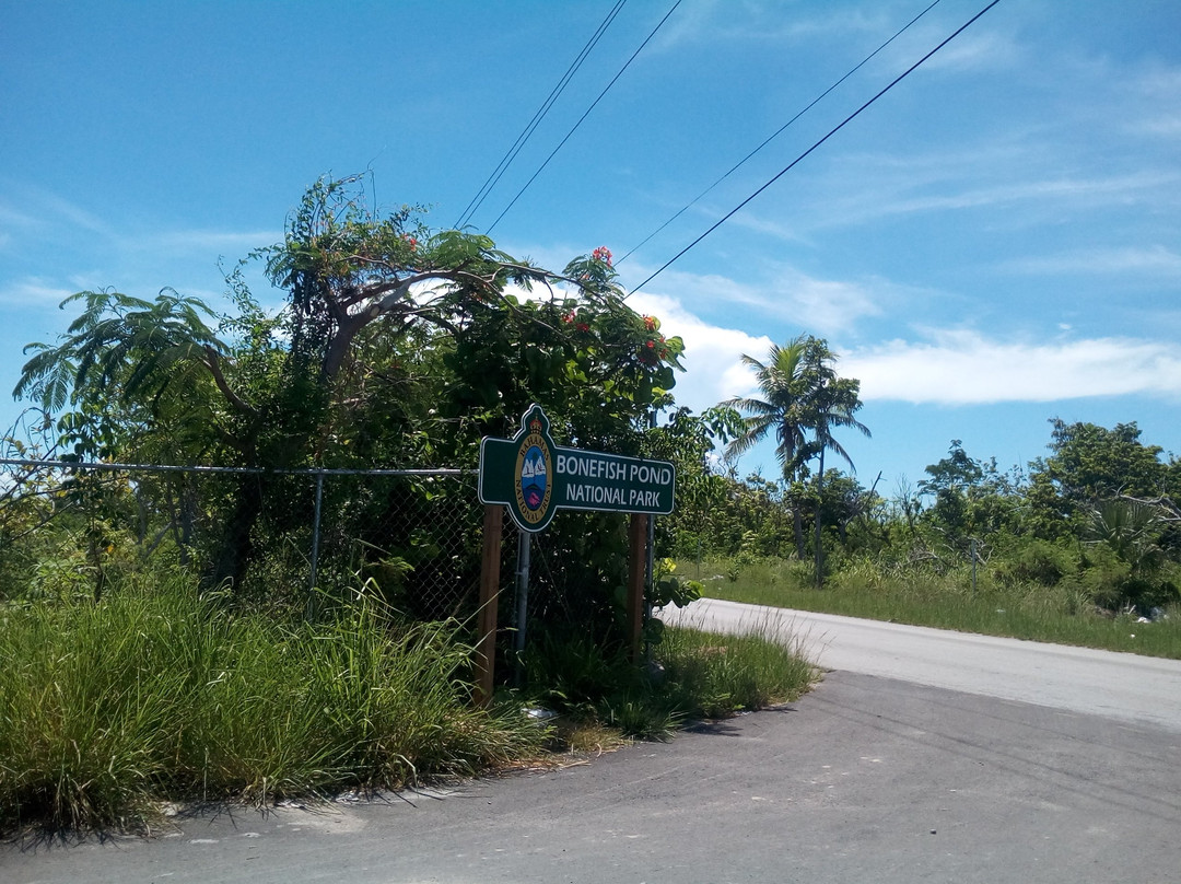 Bonefish Pond National Park-拿骚必去景点