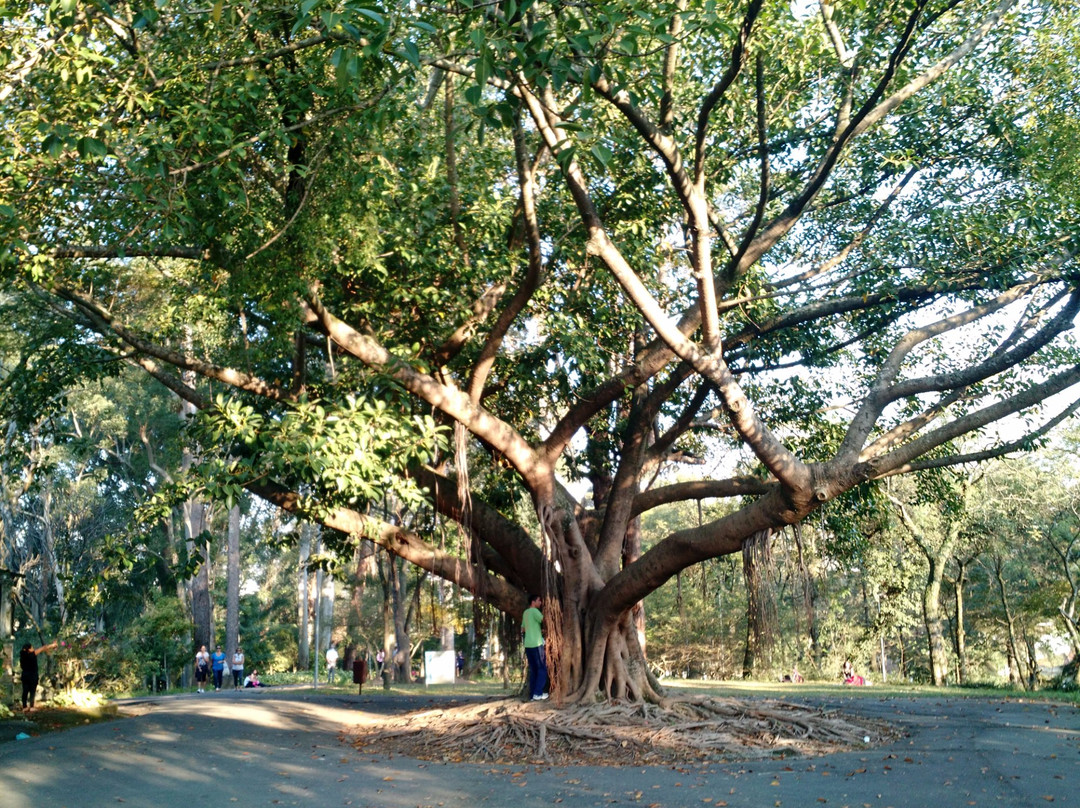 Parque Regional das Crianças景点图片