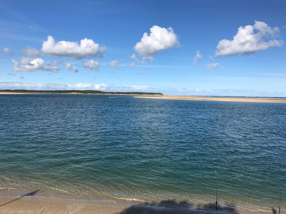 Foster North Scenic Lookout-福斯特必去景点