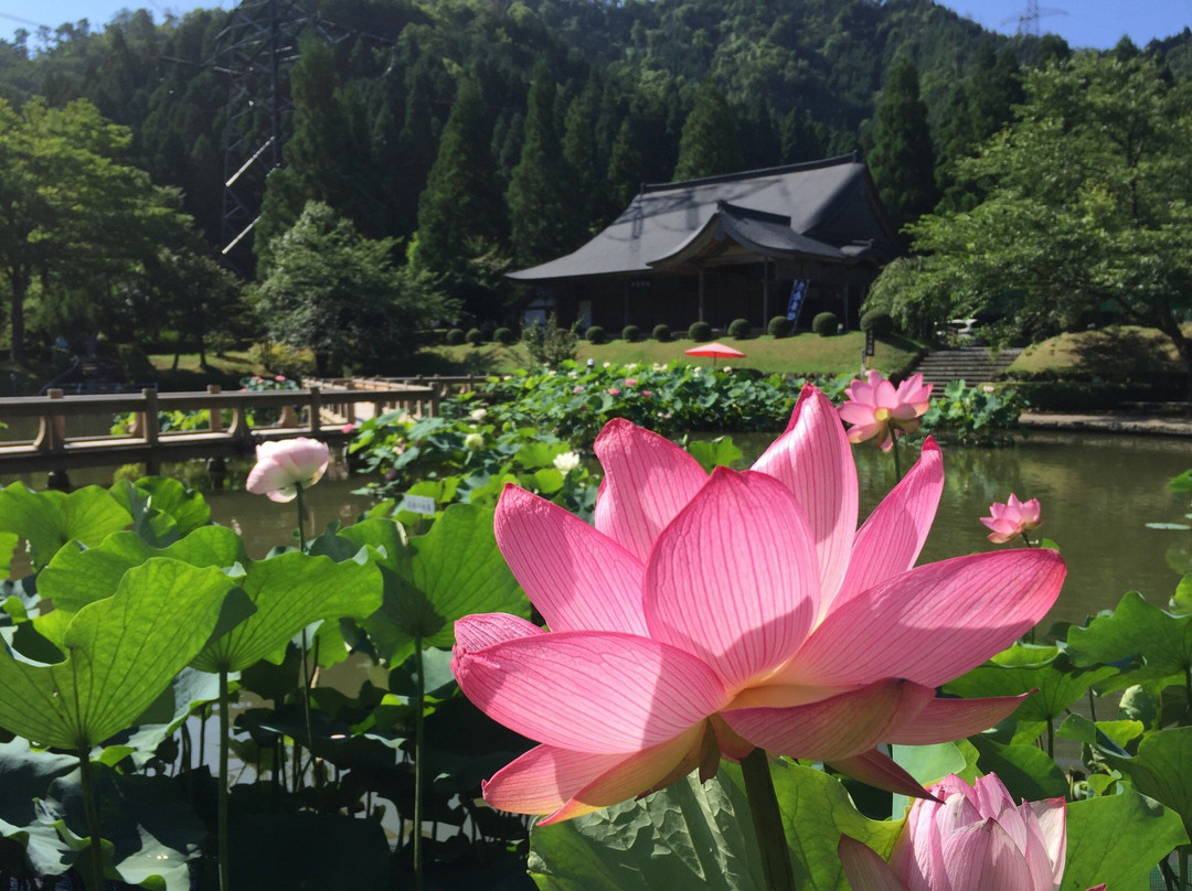 Hanahasu Park景点图片