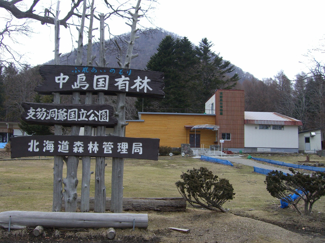 Toyako Forest Museum-洞爷湖町必去景点