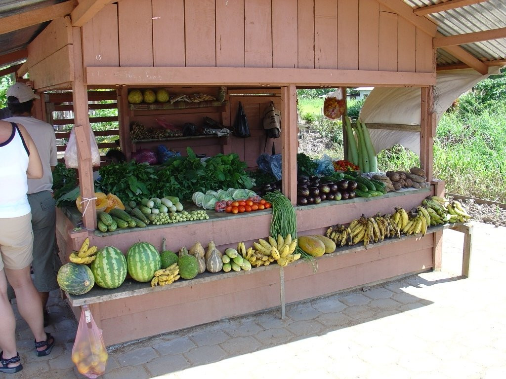 Cardy Adventures & Bike Rental-帕拉马里博必去景点