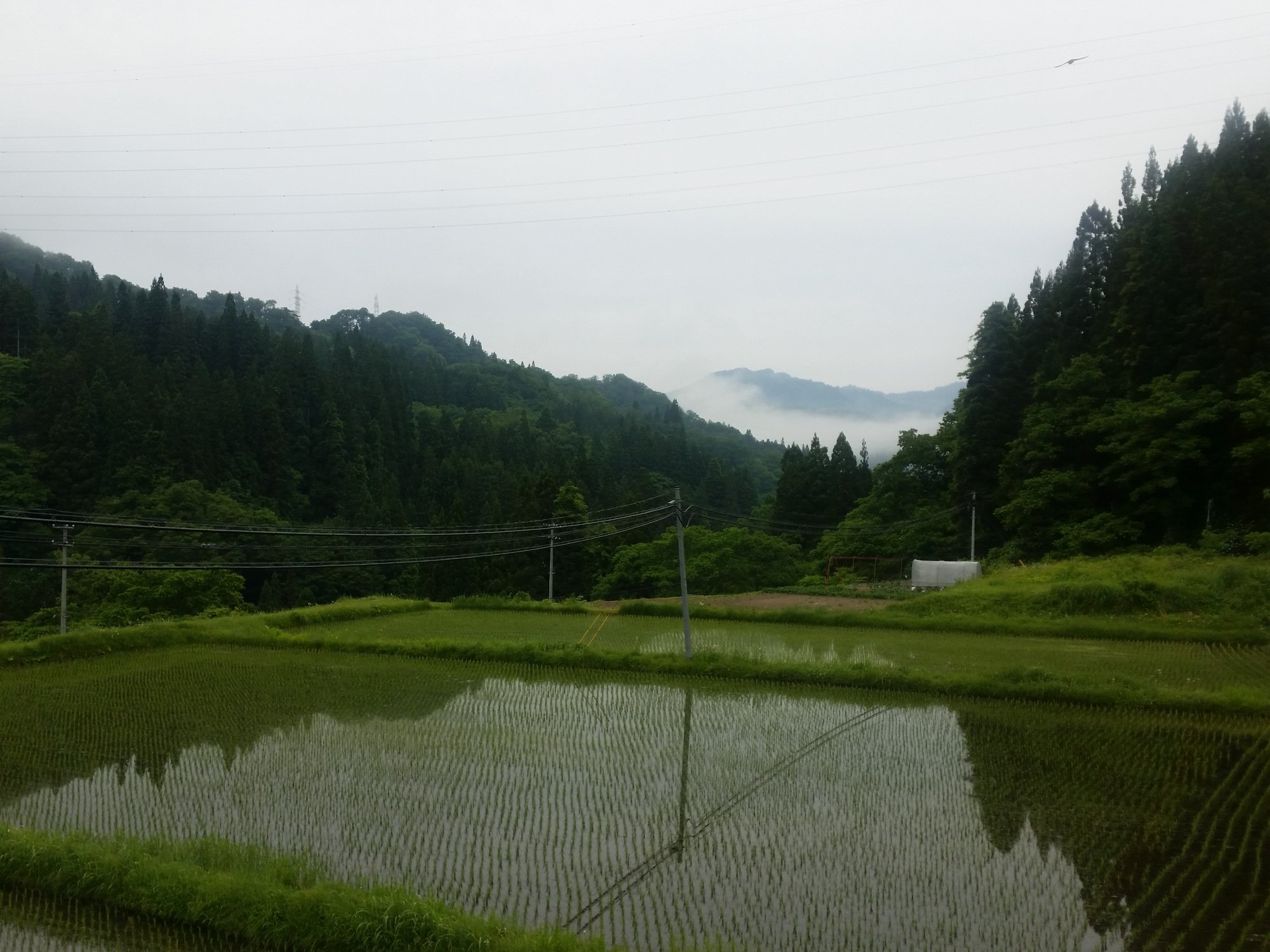 Minshuku Asahiya-酒店景观