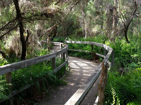 Jim Gordon VC Trail-Gingin必去景点