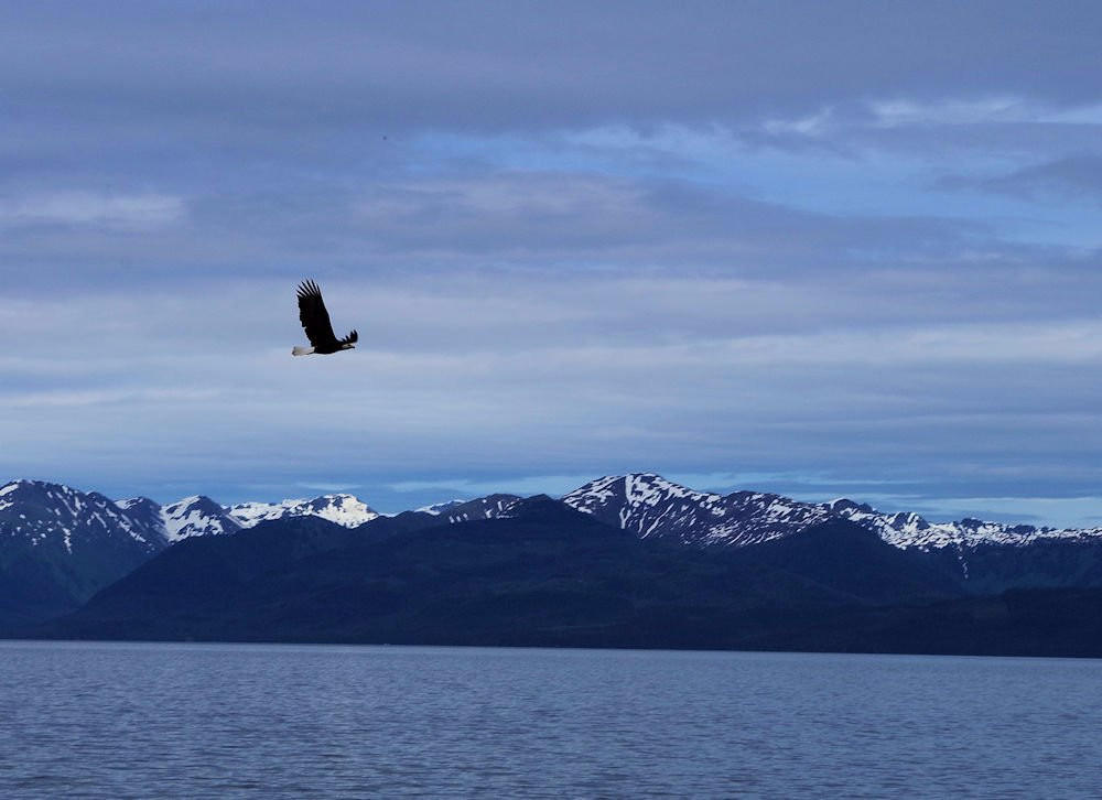 Chichagof Island-朱诺必去景点