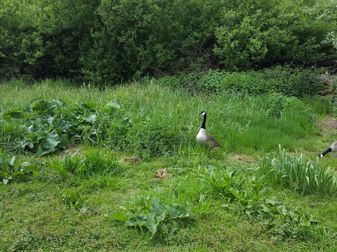 Vogelpark Heppenheim-Heppenheim必去景点