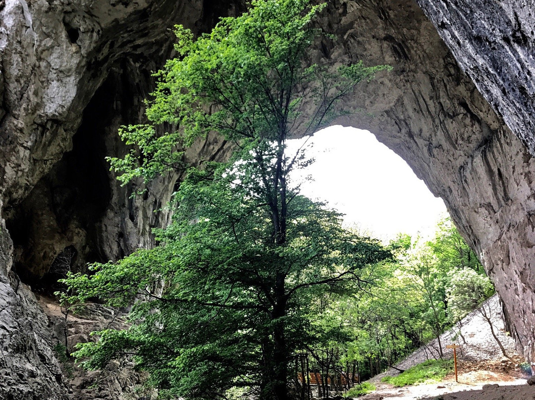 Vratna Monastery景点图片