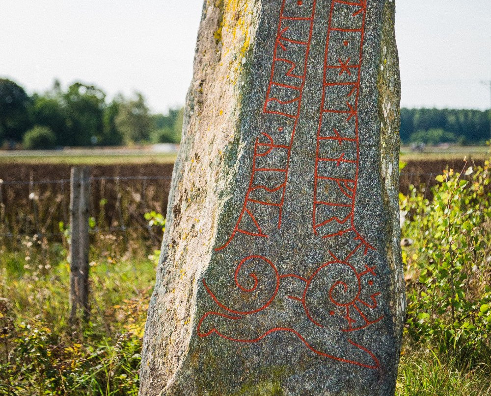 Kulturreservatet Vallby Sörgården景点图片