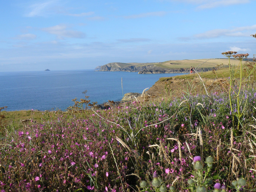 Saint Ervan酒店住宿-Ring O'Bells Inn