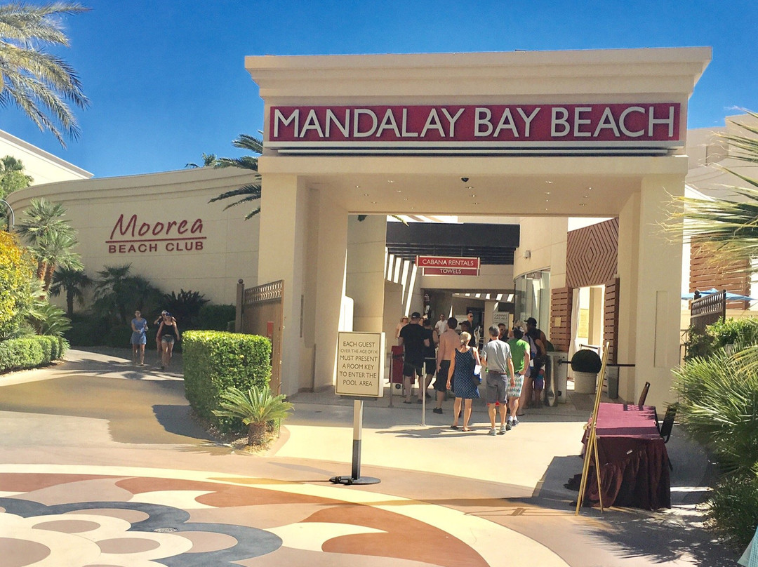 Moorea Beach Club-拉斯维加斯必去景点